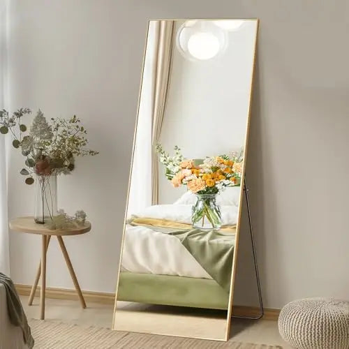 Full-Length Mirror