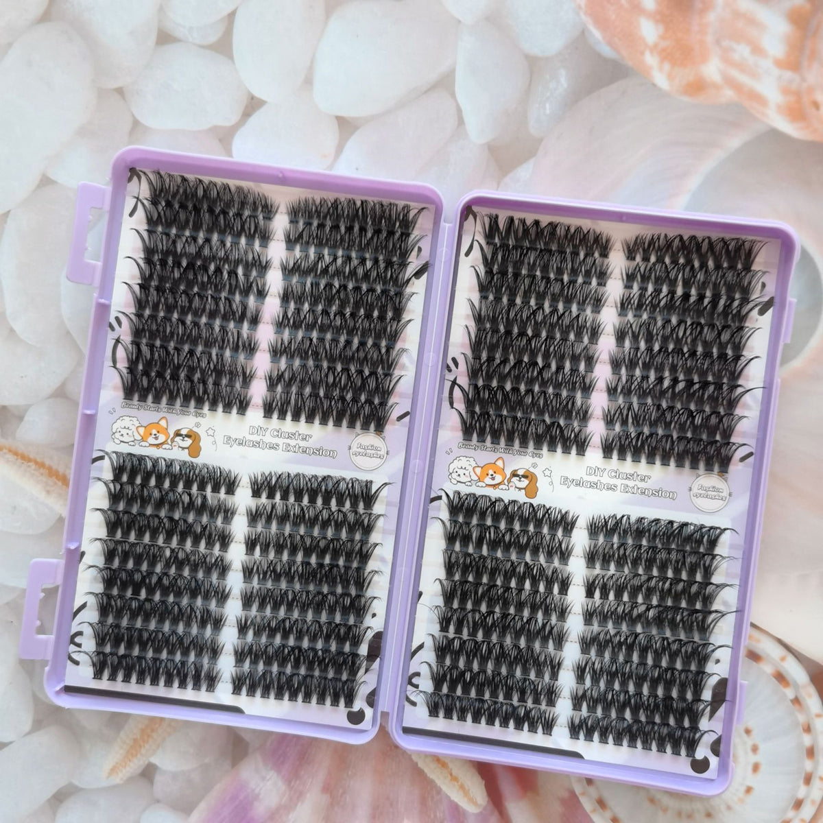 DIY Lash Cluster Map Set