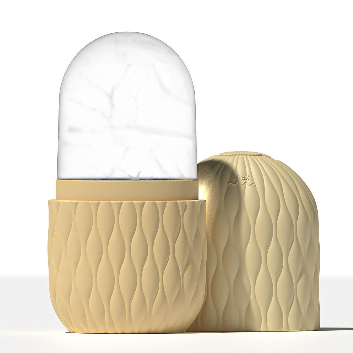 Cold Therapy Ice Mold