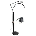 Moon Crescent LED Lamp